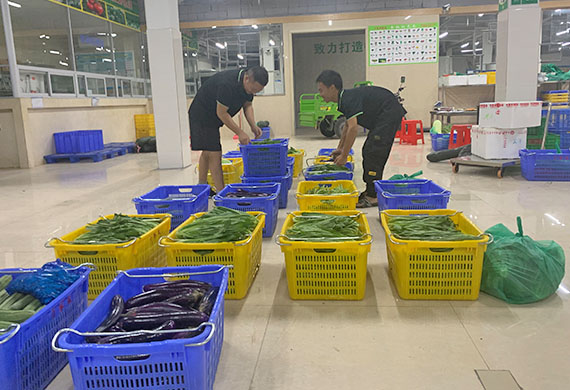 冷链物流膳食食堂承包经营过程中是如何采购的？